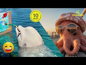 Funny Kids at the Aquarium🐙🐠 | TRY NOT TO LAUGH 😂