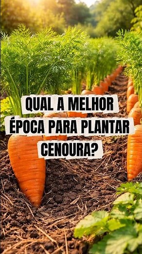 🥕 Best time to plant carrots (and harvest them quickly!)