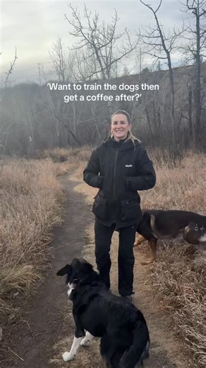 MALIKO DOG WALKING | DOG TRAINING CLOTHING on Instagram: "and we are LIVE! shop both the training jacket and the Sherpa right now 🖤 #dogtraining #dogowner #dogsport #dogtrainer"