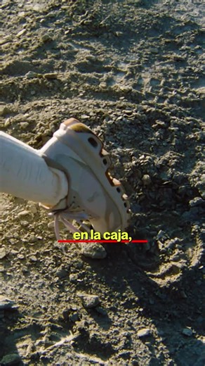 Spinoff on Instagram: "Mejores momentos del podcast 2025 9/10 😍 Hay marcas que no venden zapatillas, venden suscripciones para correr.🏃‍♂️ @on ha lanzado un modelo por suscripción: no las compras, las usas, las devuelves, las reciclan y te mandan otras.♻️ Porque al final, el futuro no está en vender más… sino en que te renueven sin pensarlo.😉 #SangredeUnicornio #SpinoffStartups #Emprendimiento #Marcas #Sostenibilidad #Innovación #OnRunning"