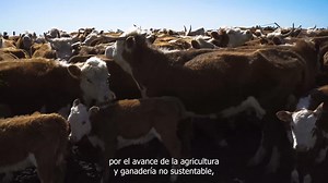 24 reactions · 11 shares | 樂¿Cuánto sabés de nuestras pampas? La...
