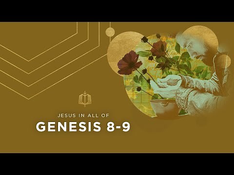 Genesis 8-9 | The Rainbow | Bible Study