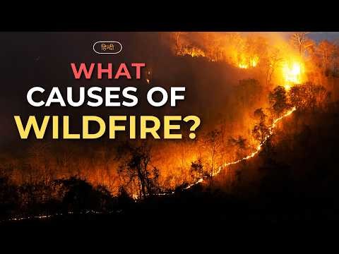 What Causes of Wildfire? – [Hindi] – Quick Support