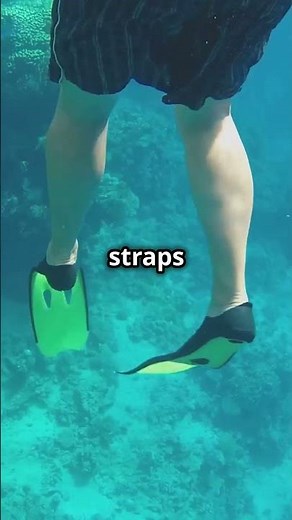 Snorkeling for Beginners! What to Bring to Snorkel