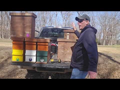 Swarming Bees and the traps I use.