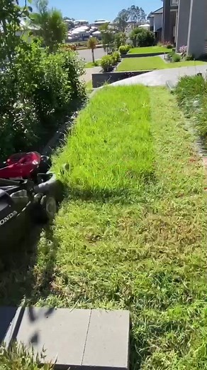Soothing Grass Cutting Sounds