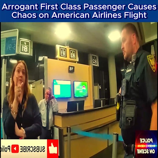 Arrogant First Class Passenger Causes Chaos on American Airlines Flight | Code Blue Cam