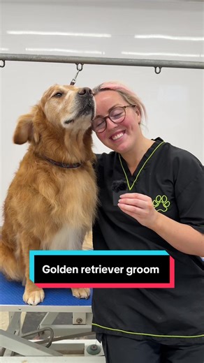 Grooming Tips for Golden Retrievers: A Guide for Dog Owners