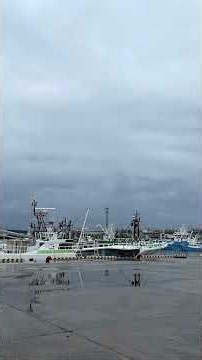 ＃昭和の歌など聴きながら＃八代亜紀＃館鼻岸壁＃八戸