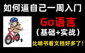 【2023最新】Go语言基础+实战全套教学，基础知识+流程控制+切片映射