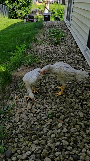 pretty weather today | Nav Hawj