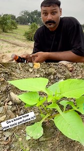 466K views · 8.9K reactions |  **The Hidden Dangers of Perfumes: If...