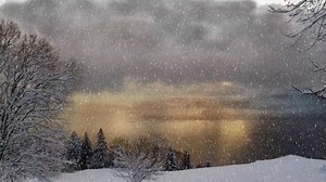 Snow, Snowstorm, Winter. Free Stock Video