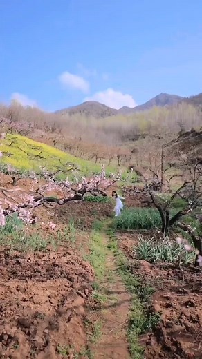 Enjoy Spring with Dance Movements