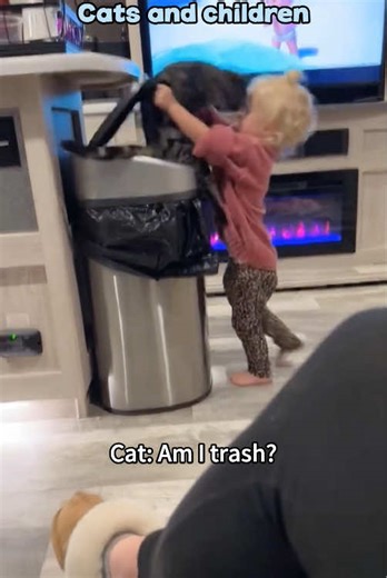 Cats are always patient with children☺️😂#cat #catsoftiktok #funnycat #fyp #USA