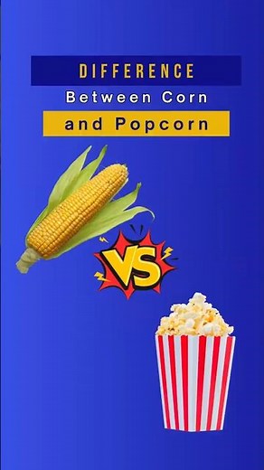 The Surprising Science Behind Popcorn