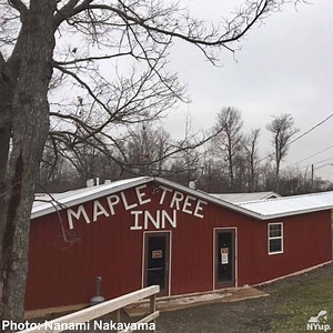 50K views · 204 reactions | Once a year for about nine weeks, the Cartwright's Maple Tree Inn in Western NY serves all-you-can-eat buckwheat pancakes and pure maple syrup. https://trib.al/f1hH2eV 丹 | NYup.com | Facebook