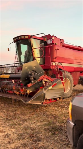 Explore Authentic Farm Life Experiences