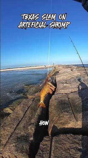 Easily Catch Every Inshore Fish with Vudu Shrimp - Fishing With Shrimp