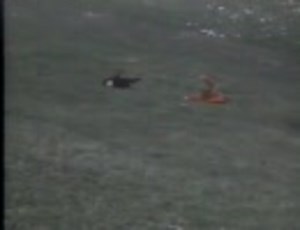 【面白さ再発見】決闘かこいいｗ【映画】　２／５