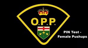 23 reactions · 20 shares | PIN Test 1/4 - Female push-ups! Learn and...