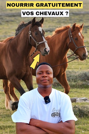 40K views · 1.2K reactions | Comment nourrir gratuitement vos chevaux? #Nourrir #Gratuitement #Chevaux | Agriculteurs Modernes | Facebook