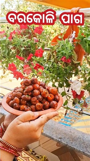 ବରକୋଳି ପାଗ#barakoliJujube/koli/barakoli #barakoli paga#shorts#viral#food#cooking#yamme