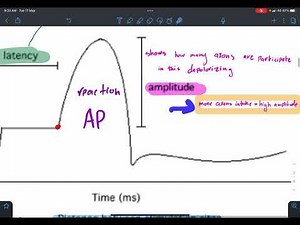 Nerve conduction studies - OSPE