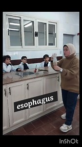 Demonstrating digestion for grade 5 students step by step using simple tools 🥐🍪🍴 #Science in action 👌👩‍⚕️🤩🤩 | Future British International School