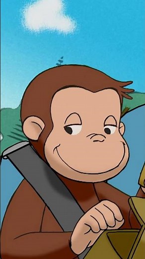 Eine neue Art zu campen? #shorts