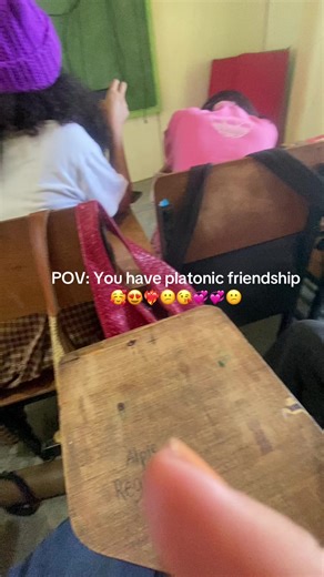 Understanding Platonic Friendships and Their Meaning