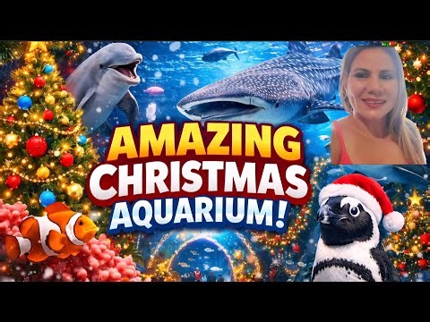 The Biggest Aquarium in the U.S. 🇺🇸 | Georgia Aquarium Atlanta Tour – Christmas Edition 🎄