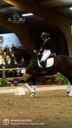 Dressage Performance with Equestrian and Dark Brown Horse