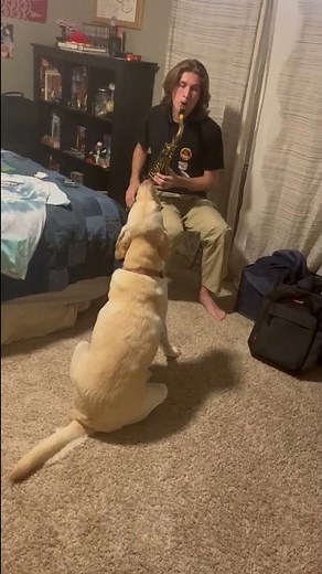 The cutest jazz duo! Guy plays saxophone while dog howls along
