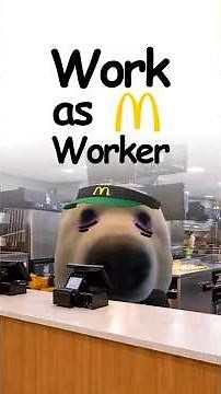 What it's like working as a Fast Food Worker? Explained by doggie 🍟🐕