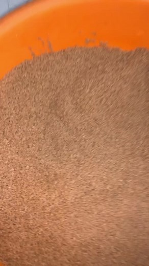 Traditional Dish Preparation in a Home Kitchen