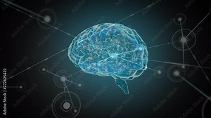 Digital brain with network