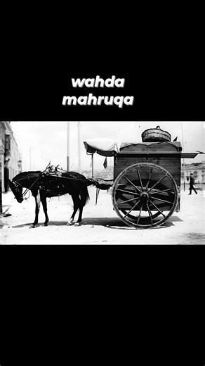 114 reactions · 41 shares | The bread man Old street vendors in Malta #visitmalta #visitgozo | Joey Tax Xorb | Facebook