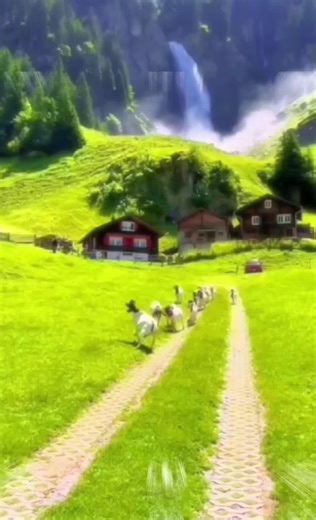 Context: After Keir Starmer made a deal with the government of Mauritius, the UK will lose sovereignty over the ‘British Indian Ocean Territory’, or the common name ‘Chagos Islands' .@🇹🇩🏔️𝖌𝖊𝖔.𝖗𝖔_🗽🗺️ @🇩🇪🏆Saumapper💫🗽 @𝕭𝖔𝖘𝖓𝖎𝖆𝖓.𝖌𝖊𝖔 @🐑 Welsh Mapper 🏴󠁧󠁢󠁷󠁬󠁳󠁿 @🇸🇮𝙎𝙚𝙧𝙗𝘼𝙩𝙡𝙖𝙨🇷🇸 @🇮🇹 𝐈𝐭𝐚𝐥𝐢𝐚𝐧𝐆𝐞𝐨 ☃️❄️ @Luke_21 @anastasios @🇧🇬𝙆𝙧𝙞𝙨𝙠𝙤🇧🇬 #fyp #foryou #map @𝐌𝐚𝐜𝐞𝐝𝐨𝐧𝐢𝐚 🇲🇰 #higlight #like cred:@Will Wind