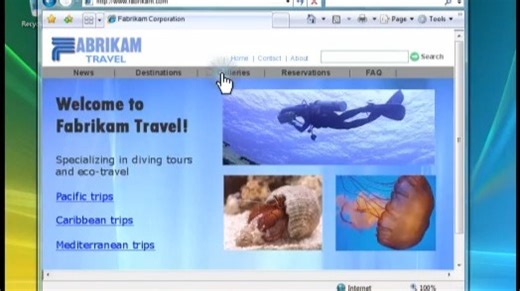 Windows Vista 教程 - Using the Web