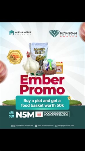TruEarth Global Limited on Instagram: "✨EMERALD CITY ESTATE, OGBAKU✨ Your opportunity to own a prime piece of real estate is here! Emerald City Estate, Ogbaku, offered by Alpha Nobis Real Estate, gives you the chance to invest in a fast-rising community with unbeatable value. Residential Plots – 465 sqm per plot Price: ₦5,000,000 (Five Million Naira Only) Title: Free Registered Survey Plan + Irrevocable Power of Attorney Why Choose Emerald City Estate? Strategically located with proximity to key