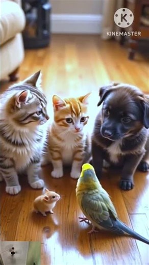 The Cutest Animal Meeting Ever!