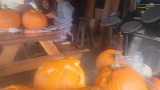 Kathy Howlett on Reels