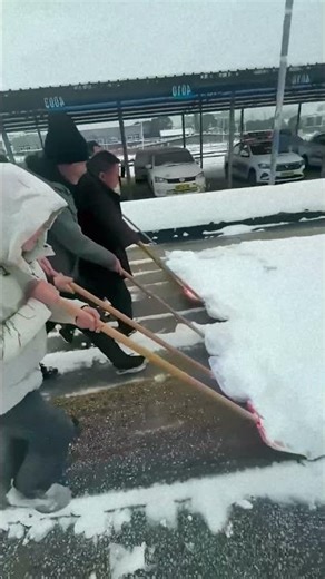 The Power of Teamwork: They Open a Path with Shovels in the Snow