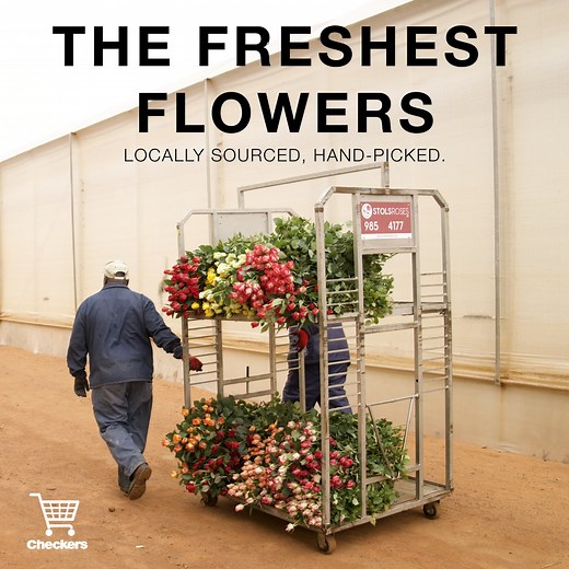 Experience the beauty of locally sourced, hand-picked spring blooms – a testament to our Fresh Promise. Shop our beautiful range of fresh cut flowers in-store or on Checkers Sixty60. View range: https://bit.ly/3qqgw2J | Checkers