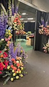 Magic world of roses at @decofreshroses location of Aalsmeer flower auction during Trade Fair 2025. Thanks for demonstrating of assortment dear Arfhan @arfhan_mughal from @fontanaflowers.ke @blacktulipgroup @btffarmskenya . | Warja Abrosimova