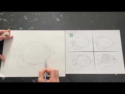 How to draw a tropical fish