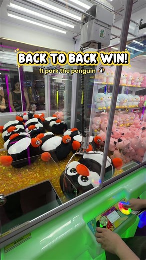Unbelievable Double Win at the Claw Machine! 😳