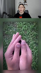 Perritos Antes y Después💀😱 . . . . . . . . . . . . . .. . . #reel #humorlatino #humor #memes #reaccionar #reaction #reaccion #bait #IA #perros #animals #edit #phonk | Rigogalleta