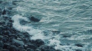 37 reactions · 14 shares | Phillip Island is the perfect destination to escape the city and reconnect with nature  Discover wildlife, captivating landscapes and friendly locals this Winter on Phillip Island! | Phillip Island | Facebook